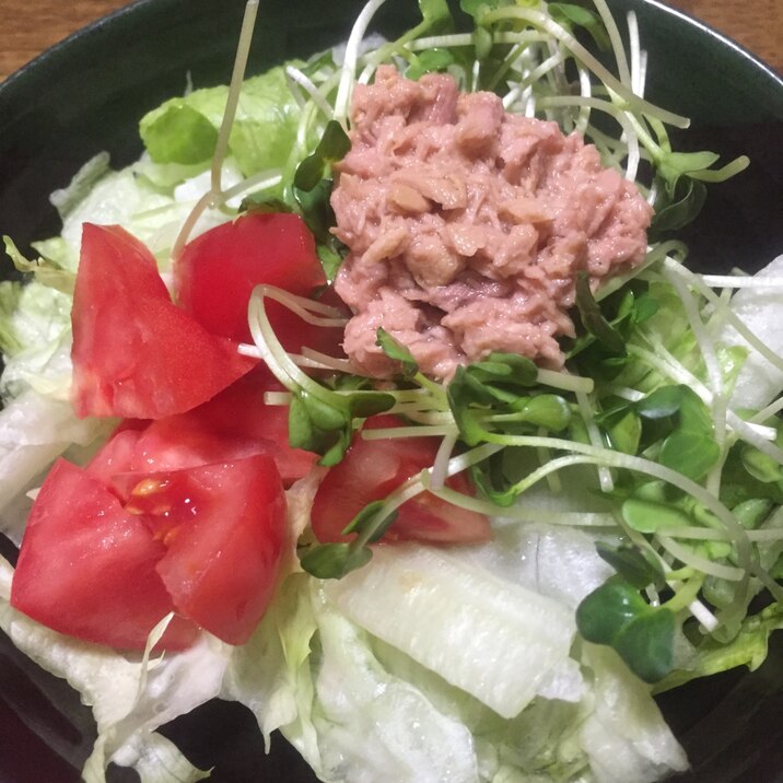 カイワレが辛くない!簡単サラダ!